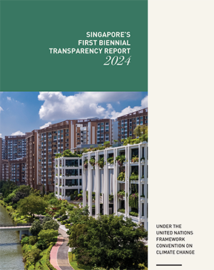 Biennial Transparency Report (BTR). BTR1., 2024